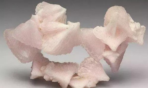 地奈德乳膏和派瑞松的区别是什么-地奈德乳膏和派瑞松的区别网 - 为你提供地奈德和皮炎平区别、地奈德乳膏和皮炎平一样吗
